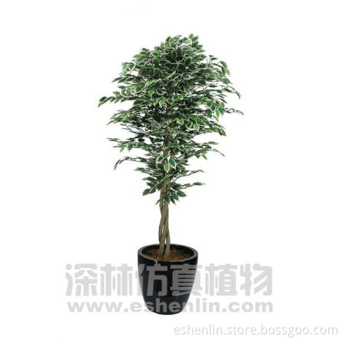 artificial ficus Tree wooden trunk